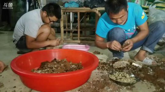 除害，灭杀人峰。 2017-09-21 23点场