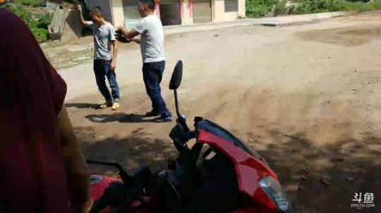 今日第一窝:怼黄蜂，取蜂蛹！ 2017-09-26 11点场