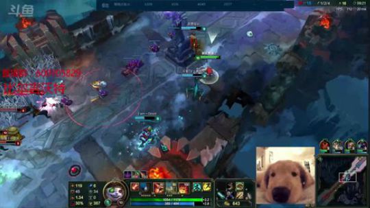 斗鱼最强极地大乱斗player~ 2017-09-26 19点场