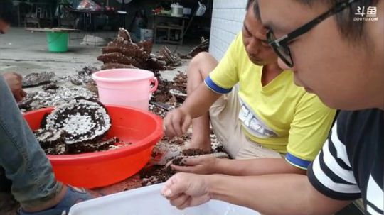 水友要把老二塘里的鱼钓光了！ 2017-09-29 15点场