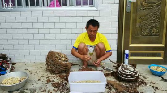 带水友一起钓鱼 2017-09-29 11点场