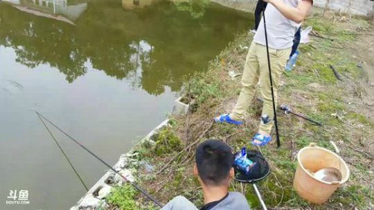 水友要把老二塘里的鱼钓光了！ 2017-09-29 13点场