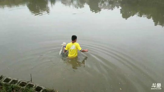 兄弟集结，“蛹”往直前 2017-09-29 17点场