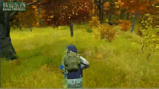 dayz僵尸末日求生 2017-09-29 15点场