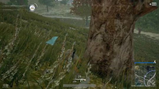 老卫~祝老友们国庆节开心快乐 2017-10-05 15点场