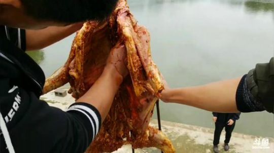 钓大鱼烤全羊朋友一起美滋滋 2017-10-05 13点场