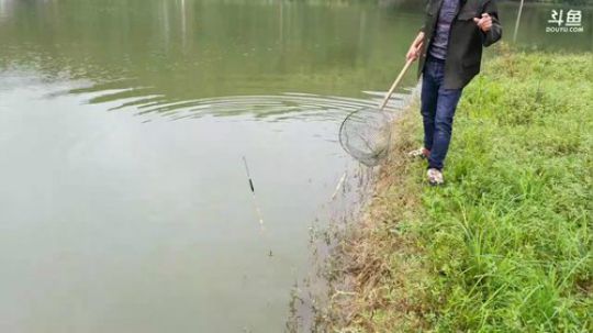 钓大鱼烤全羊朋友一起美滋滋 2017-10-05 11点场