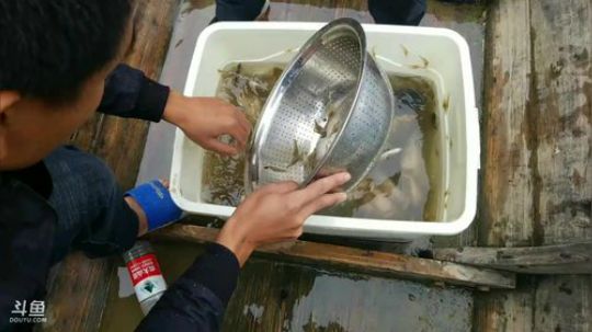 水库收笼，货多多 2017-10-07 13点场