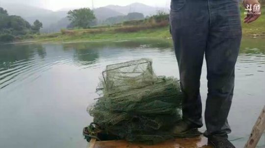 水库收笼，货多多 2017-10-07 11点场