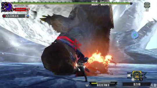 怪物猎人狩猎精华10.8 超特大雪主