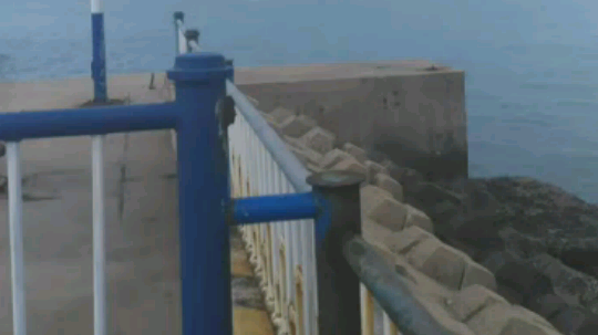 愿我们的征途是星辰大海