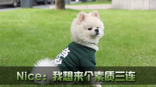 奶力全开 Nice版素质三连