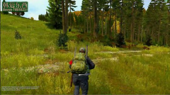 dayz僵尸末日求生 2017-10-11 21点场