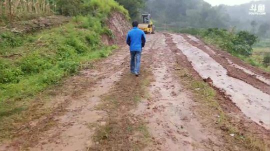 灭蜂的征途 2017-10-13 13点场