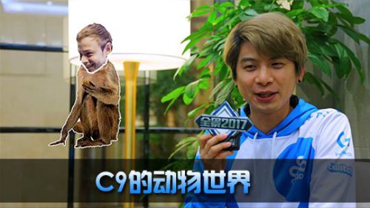 教练爆料C9的俱乐部就像一个动物园