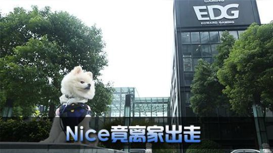 《全景2017》 奶力全开 Nice的离家之路