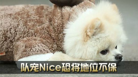 《全景2017》 奶力全开 队宠Nice恐将地位不保