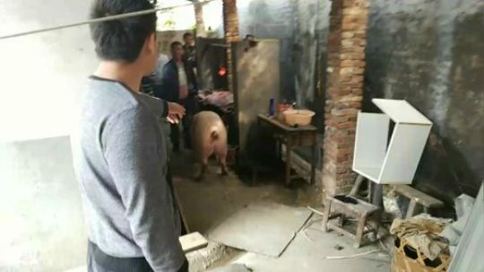 魅力&amp;amp;敢死队，情义永相宜 2017-10-20 14点场