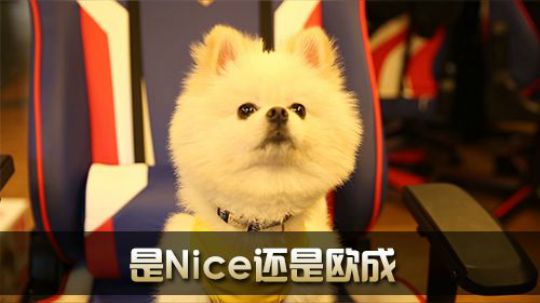《全景2017》 奶力全开 Nice欧成颜值大比拼