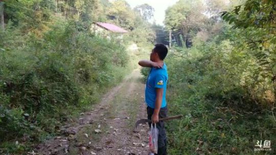 抽奖20斤茅台镇酒，和野生大甲鱼 2017-10-23 15点场