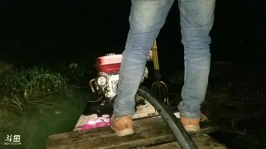 鱼叉插鱼，兄弟齐心，共度庆典 2017-10-23 19点场