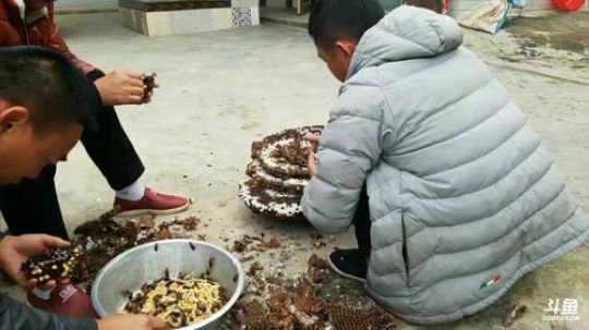 年度8进6了，谢谢大家的陪伴。 2017-10-25 07点场