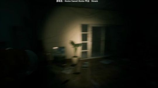 恐怖游戏《Home Sweet Home》直播纯净版（P6）