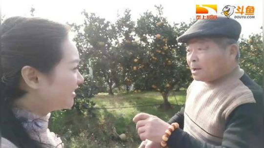 宜昌桔飘香，乐享夷陵红！ 2017-10-28 08点场