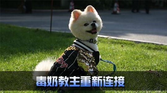 S7决赛奶力全开 Nice自封毒奶教主