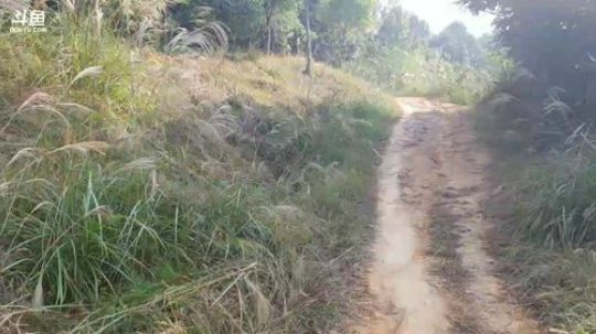 户外72小时吃了上顿没有下顿？ 2017-10-29 09点场