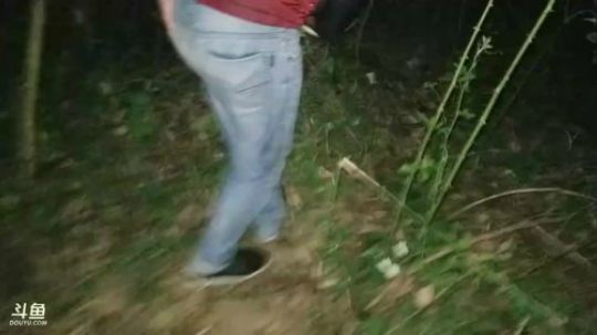 深夜收兽夹，兽夹，兽夹 2017-11-03 21点场