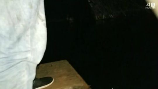 深夜收兽夹，兽夹，兽夹 2017-11-03 21点场