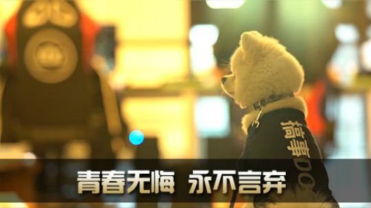 《全景2017》 奶力全开 Nice的青春无悔