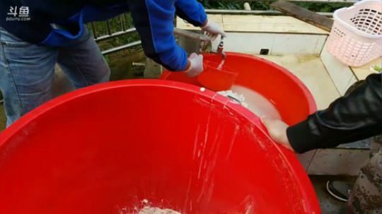 制作葛粉会成功嘛？ 2017-11-04 09点场