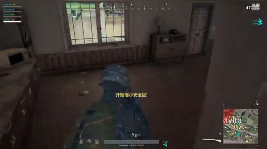 鸡鸡