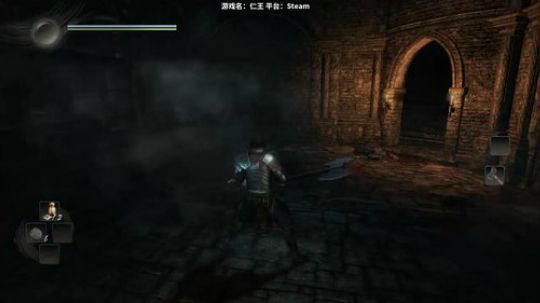 PC仁王出了 哈哈哈哈 2017-11-07 20点场