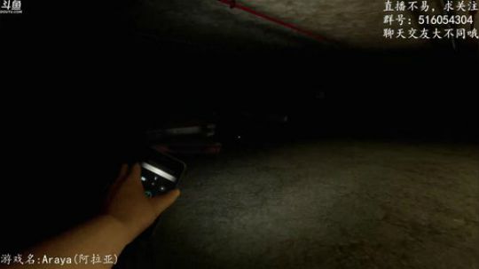 【尹不同】斗鱼第一怂 2017-10-29 23点场