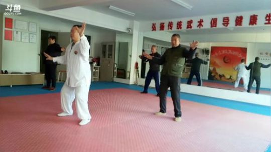 太极形意。青峰传统武术健身会馆 2017-11-04 09点场