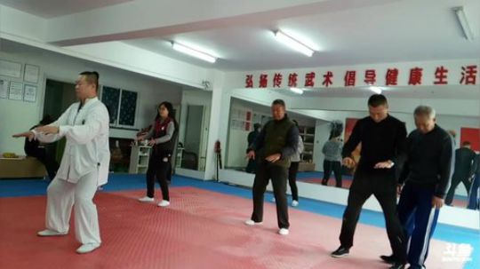 太极形意。青峰传统武术健身会馆 2017-11-02 08点场