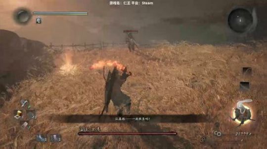 PC仁王出了 哈哈哈哈 2017-11-12 02点场