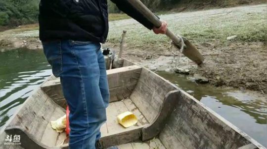 岛上收夹子！ 2017-11-19 11点场