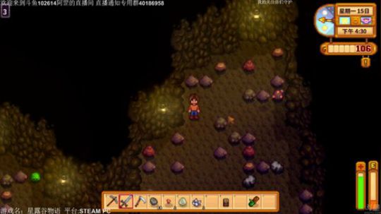 【罡帅】：星露谷物语，听说这游戏很休闲？ 2017-11-19 08点场