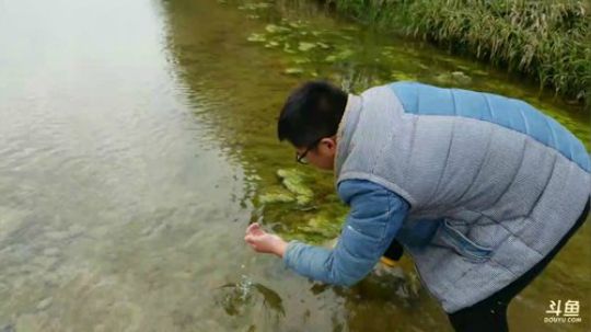 鱼乐盛典：户外生活第一天！ 2017-11-20 11点场