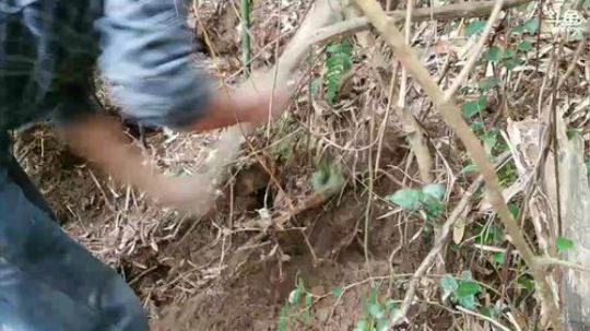 鱼乐盛典：户外生活第一天！ 2017-11-20 15点场