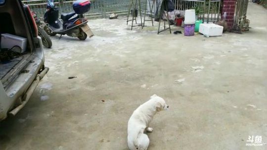 鱼乐盛典：户外生活第一天！ 2017-11-20 08点场