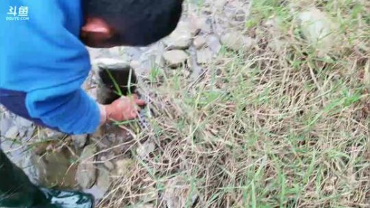 鱼乐盛典：户外生活第一天！ 2017-11-20 16点场