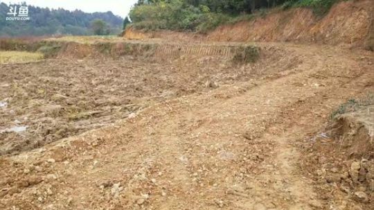 鱼乐盛典：挖竹鼠，马上出货！ 2017-11-20 13点场