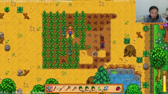 【罡帅】：星露谷物语，种种菜钓钓鱼 2017-11-22 00点场