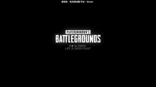 【小K】晚间档测试吃鸡新版本 2017-11-22 22点场