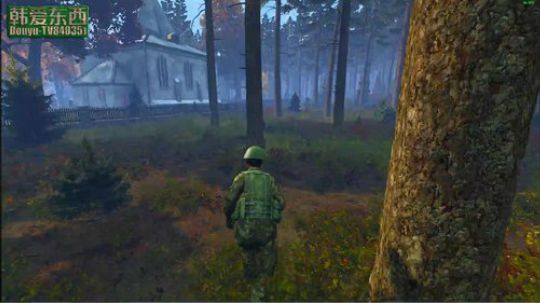 中国最后的生还者！dayz!!! 2017-11-25 17点场